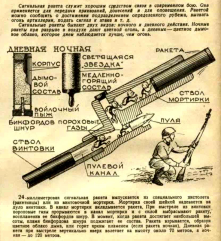https://i.postimg.cc/YqmL0Y9r/19332752.jpg