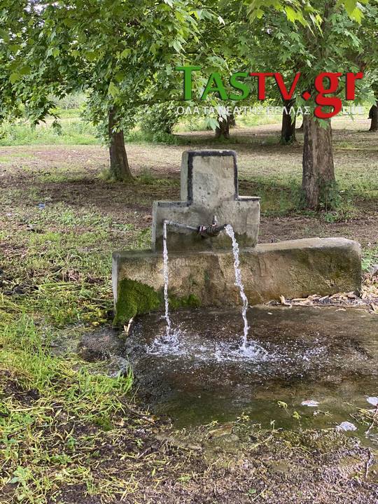 440253653-236439382864497-1547119613926401484-n