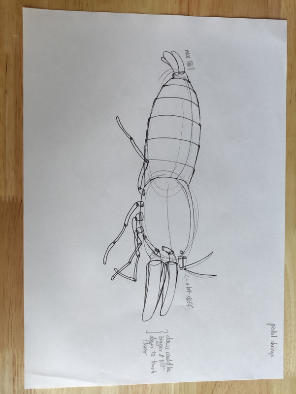 MVIMG 20251228 163913