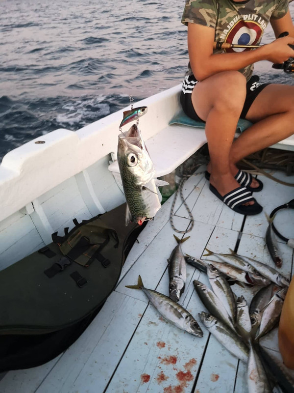 122388315_1254987808187171_1908840494422720689_n