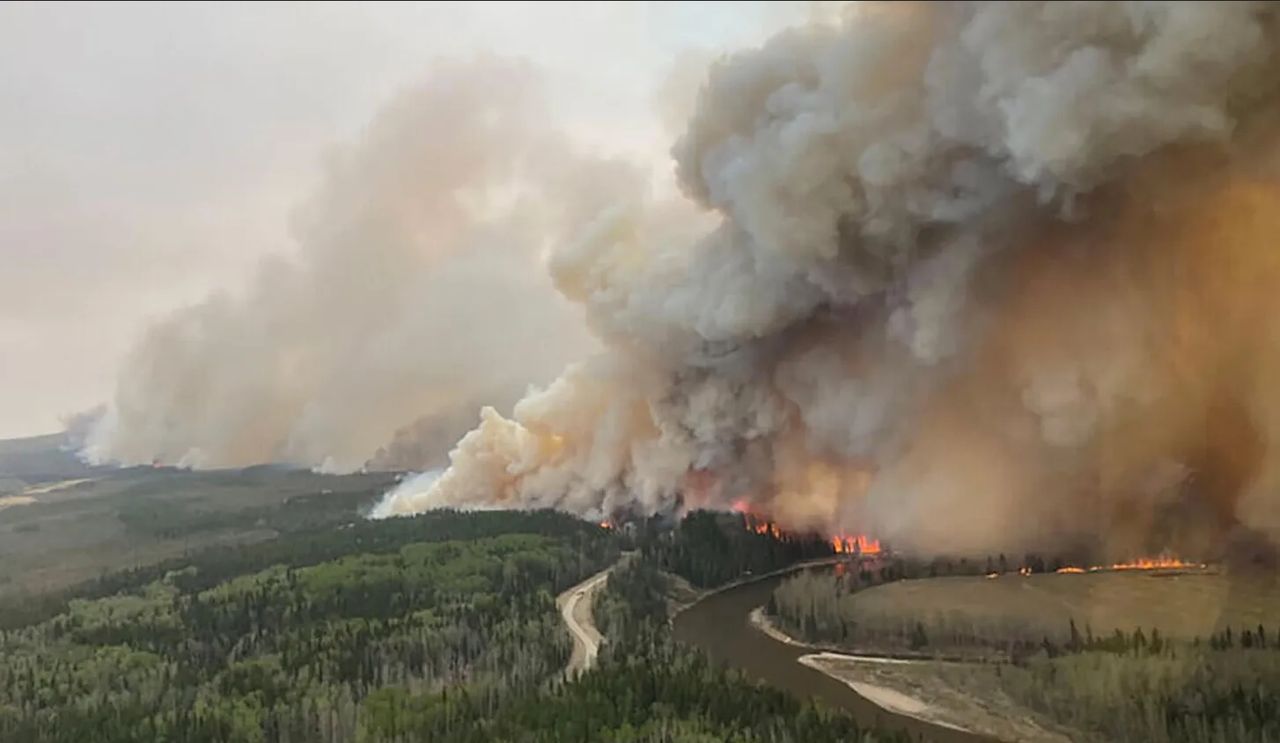 Científicos buscan mejorar la predicción de los incendios forestales