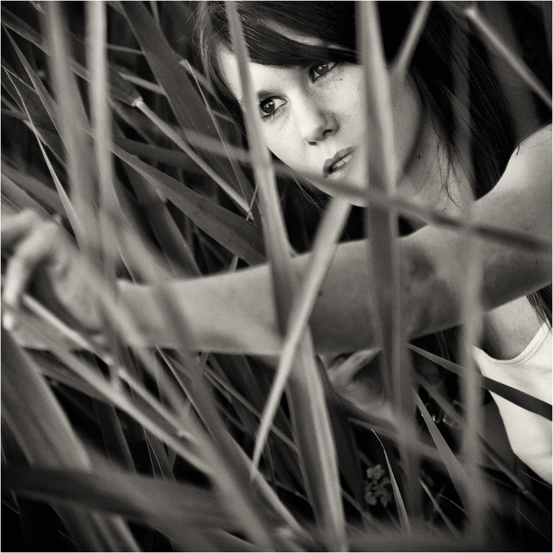 93E1E823-6B63-42D2-9F99-08A5D5503856