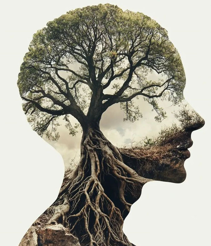 Analogia Árvore da Vida