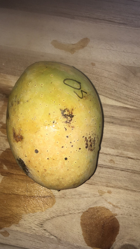 8297DECA-1F0C-41A0-B237-3F33595783FA