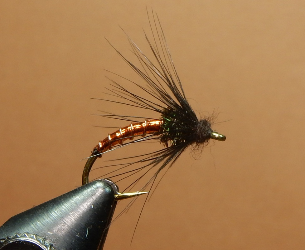 What Are You Tying Today? Pa