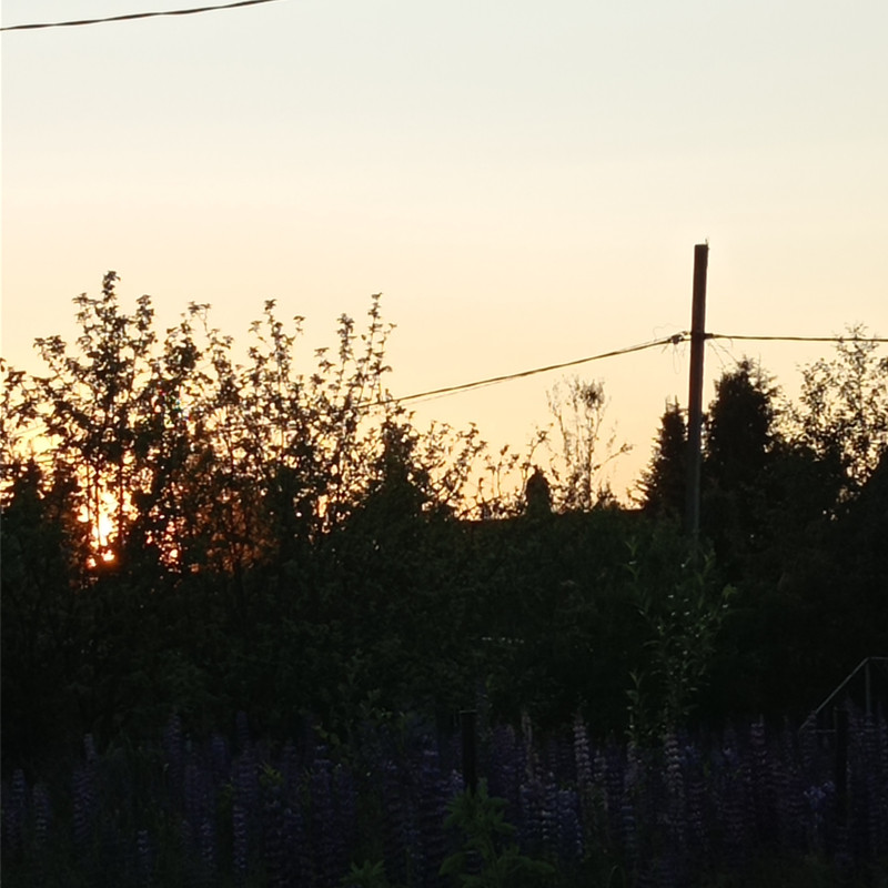 https://i.postimg.cc/YqpCKHpm/IMG-20250620-214219.jpg