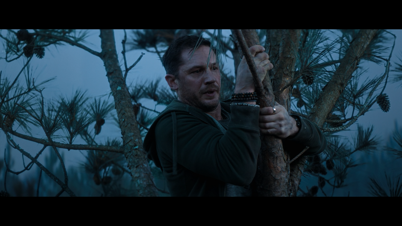 Venom (2018) 1080p BDrip x265 TrueHD Atmos 7.1 D0ct0rLew[SEV]556