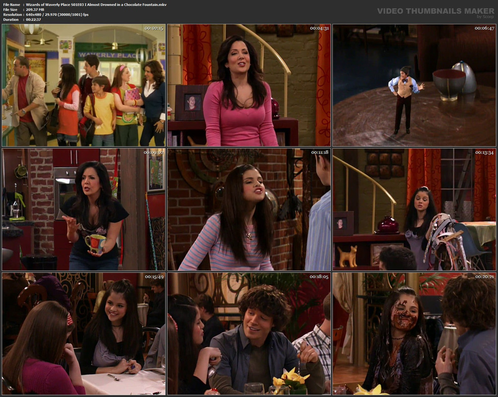Wizards of Waverly Place S01E03 I Almost Drowned in a Chocolate Fountain.mkv