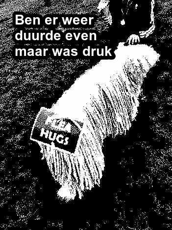 Welkom bij gekkemeid2