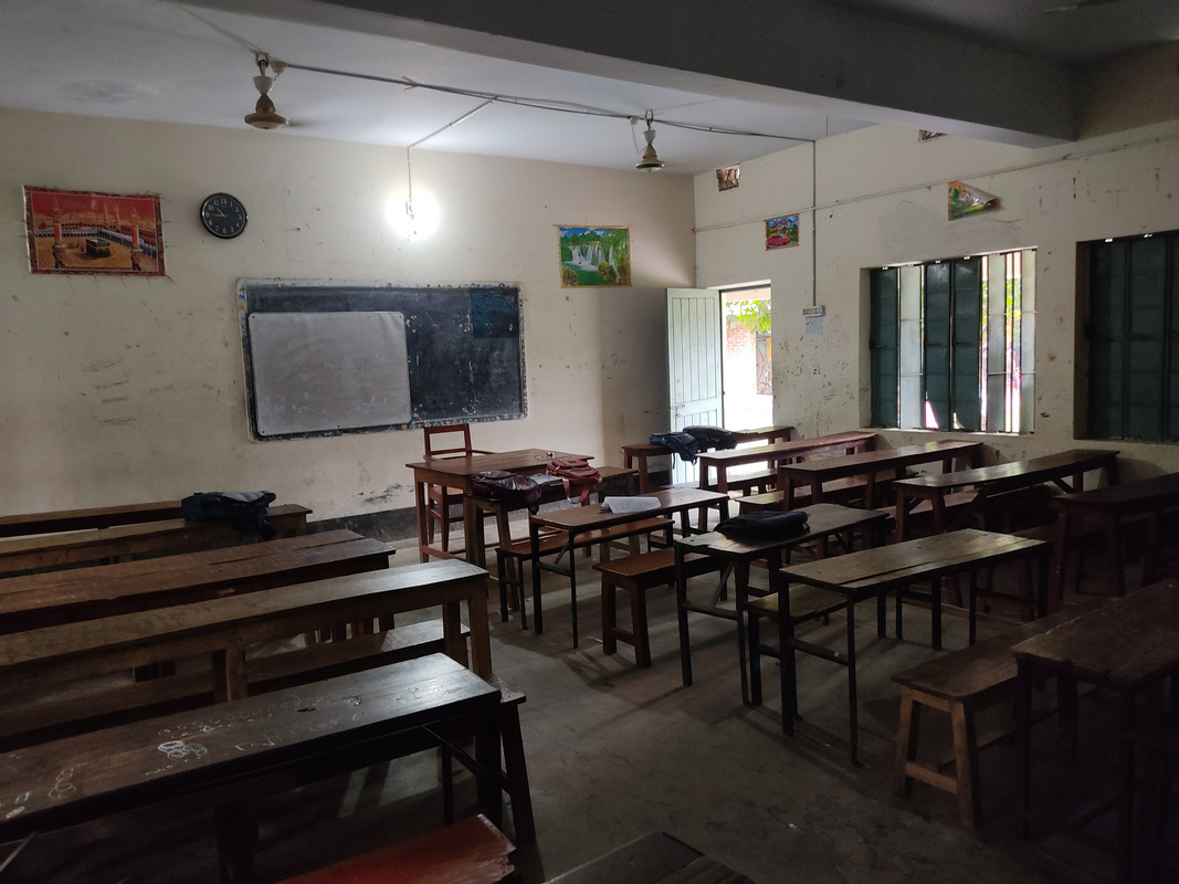 School 5