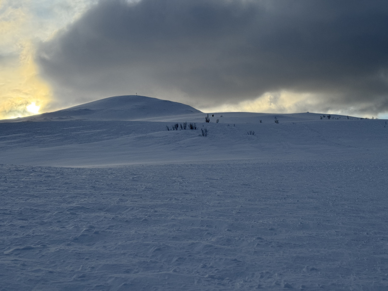 [Immagine: IMG-8061.jpg]