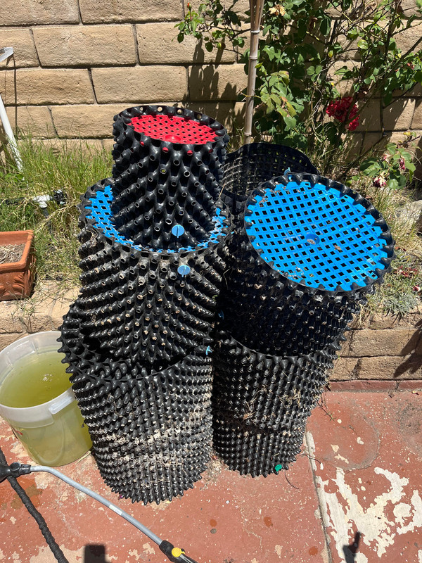 279964827_539501081179240_1539520669305875461_n (1)