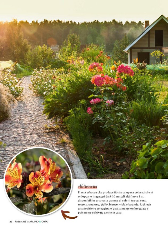 Pass Giar e Orto Giu 2025 (11)