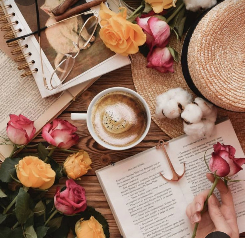 Screenshot_20230219_201201_Pinterest