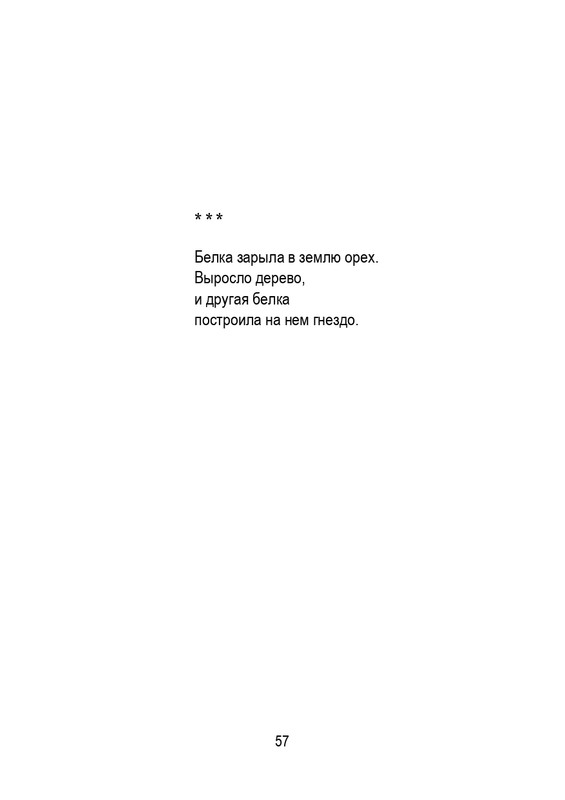 Porudominskij-Vladimir-Pernatyj-kalendar-page-0058