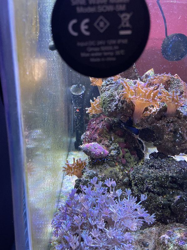 E903C795-8B31-46B6-BED4-D650C2BADBA1