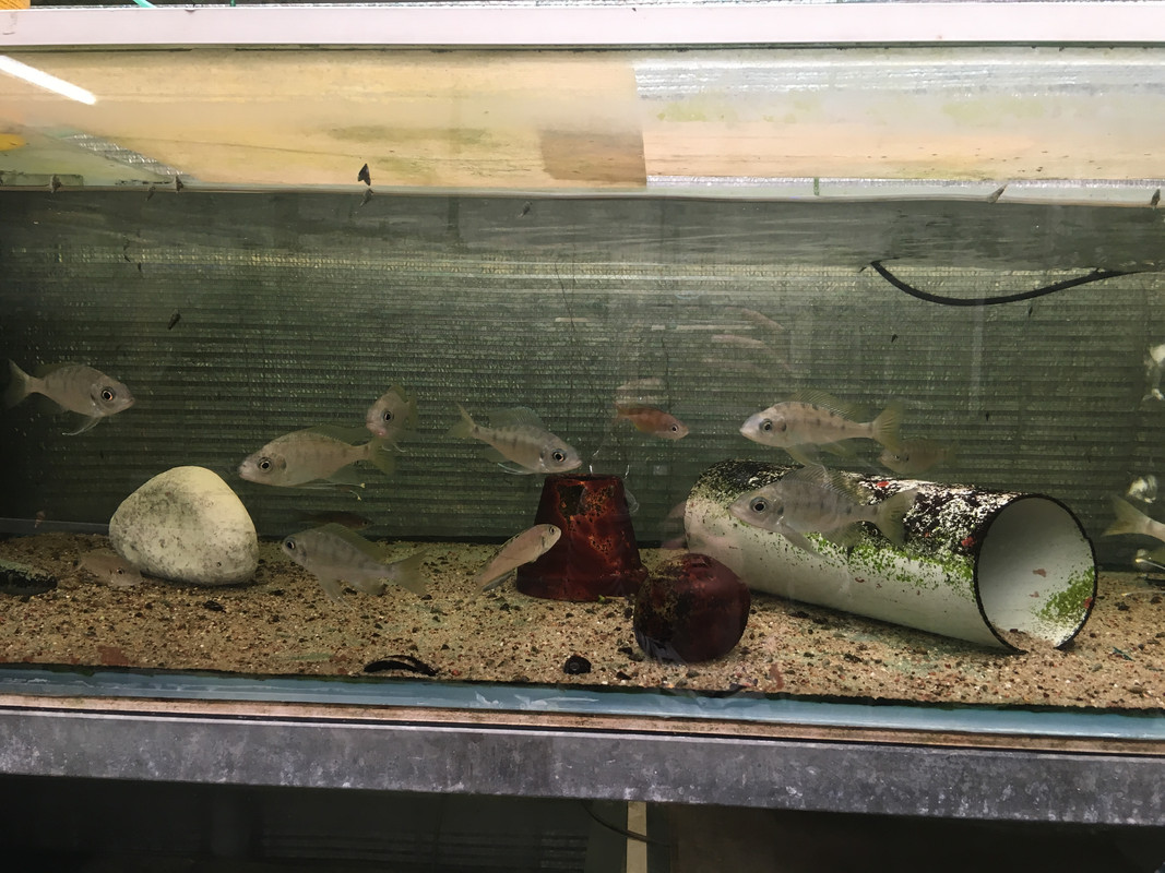 974E8547-FC39-4E73-A54A-22C941B0E2CC