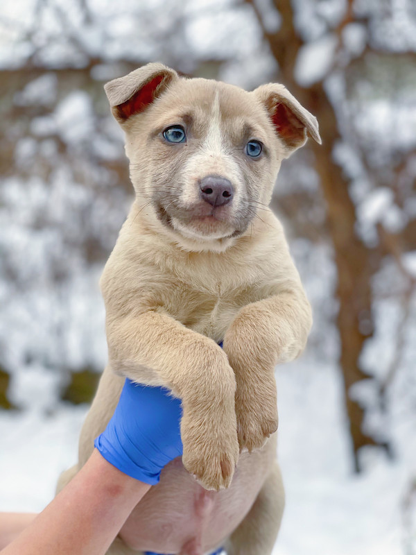 8D613448-53D2-44C9-BF63-2371633CDA09