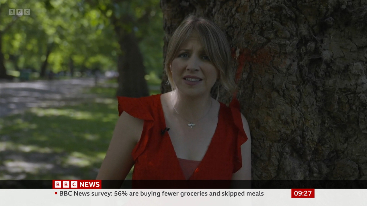 BBC_News_BBC_News_at_9_-_2022-06-17_m0018ccd_original.mp4_snapshot_27.12.000