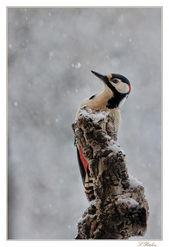 7A4A0813 sign1000 copie