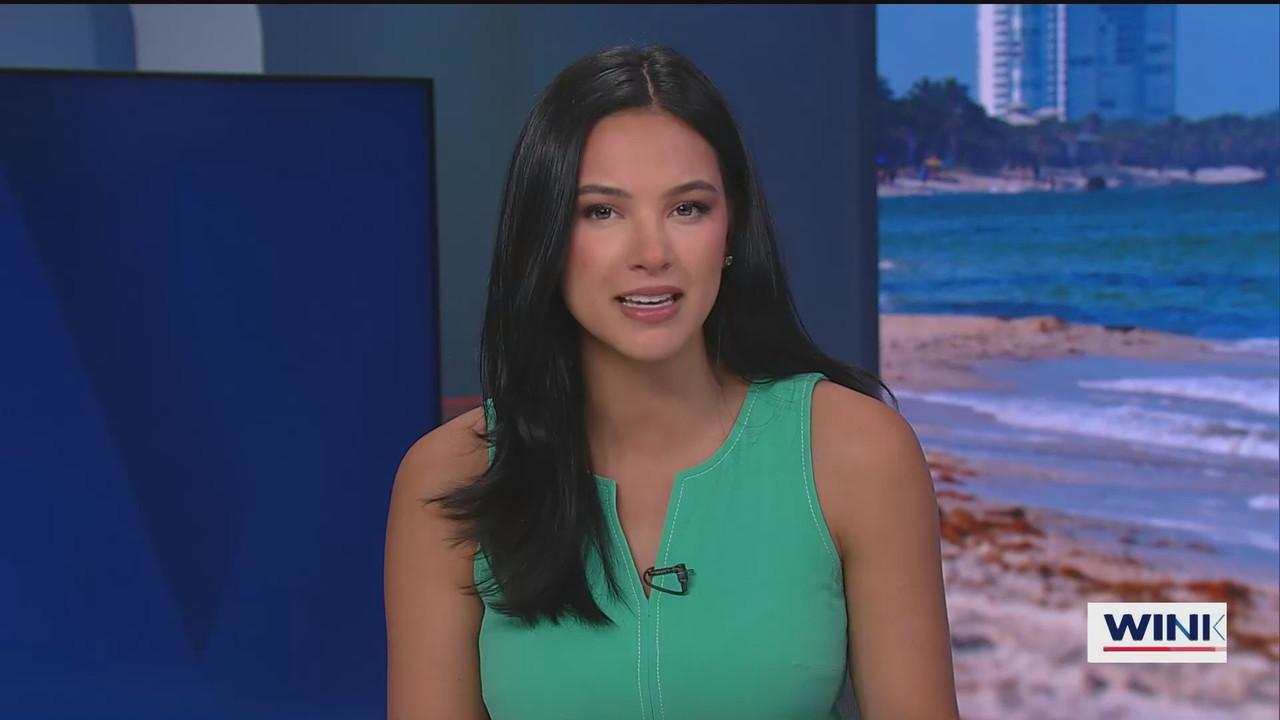 07.02 - 17.00.00 - The WINK Noon News  ᴺᵉʷ. Midday news update..ts_snapshot_17.47.489