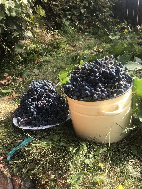 A1BC982A-3814-433B-95B3-8263CF1D9682