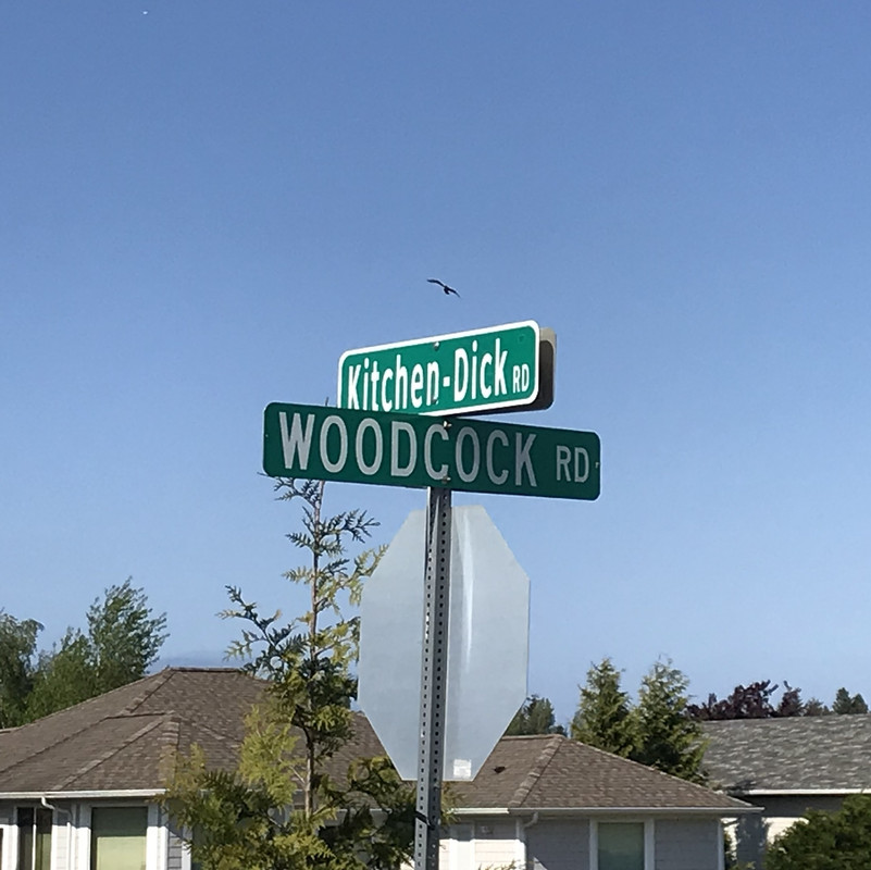 CDE45-CC0-0-CF2-48-D0-839-E-951-C26190-E