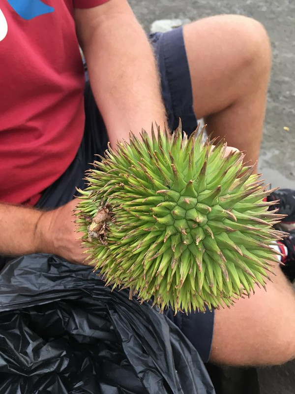 FF06E991-7F4B-48EB-B570-1F4E5F9C4647