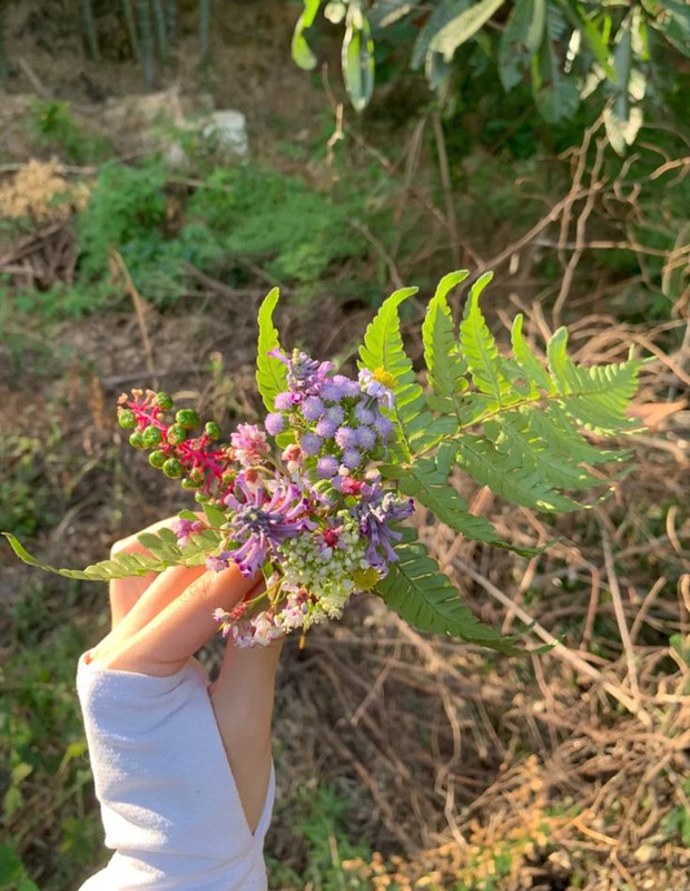 รูป2