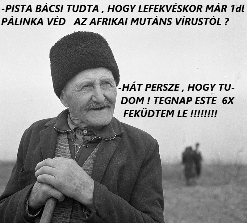 szekely-pista-b-csi.jpg