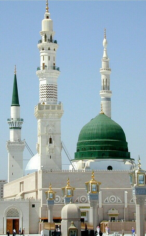 greenmosquetop.jpg