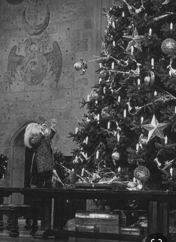 Screenshot_20231212_182800_Pinterest