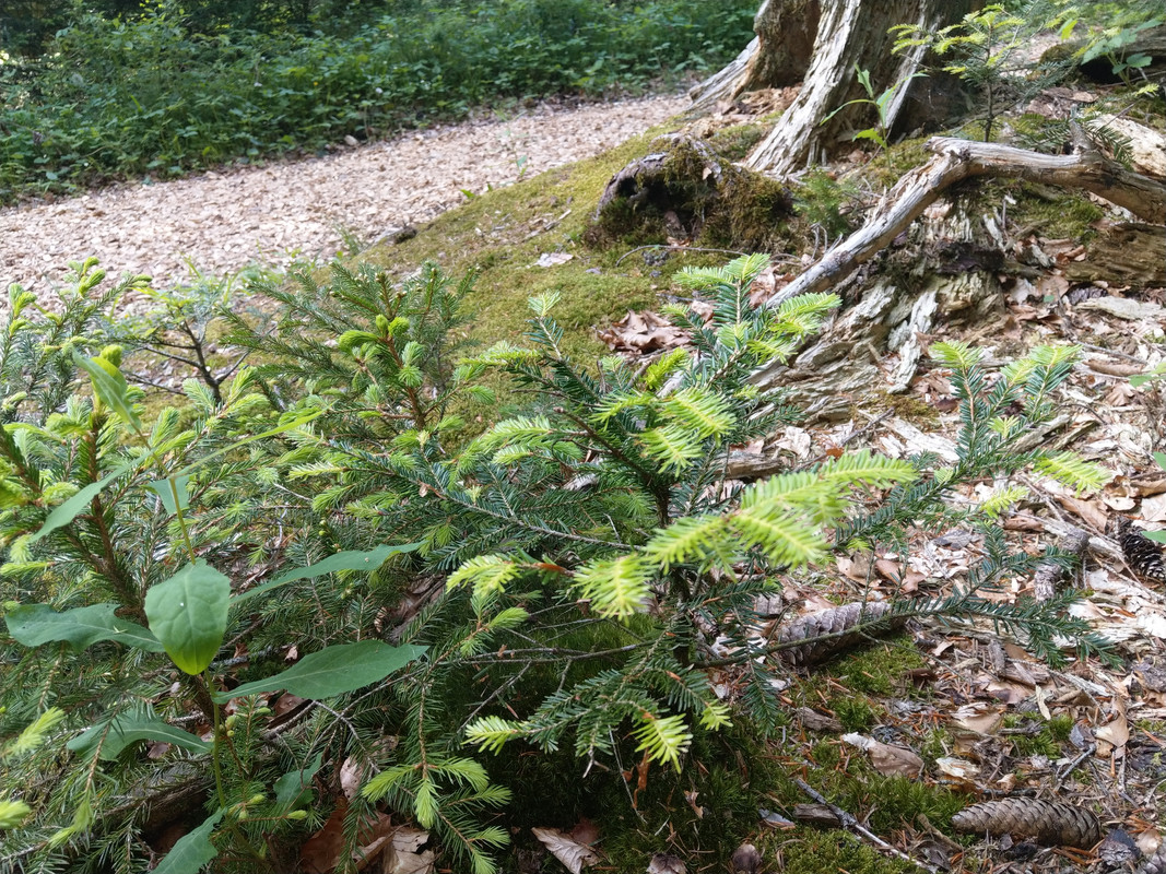 FBFEDD01-A91B-455C-A89E-EBC9AB31358B