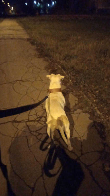 0AA6B3FA-8CD6-43D7-AE48-AA0F6B86309B