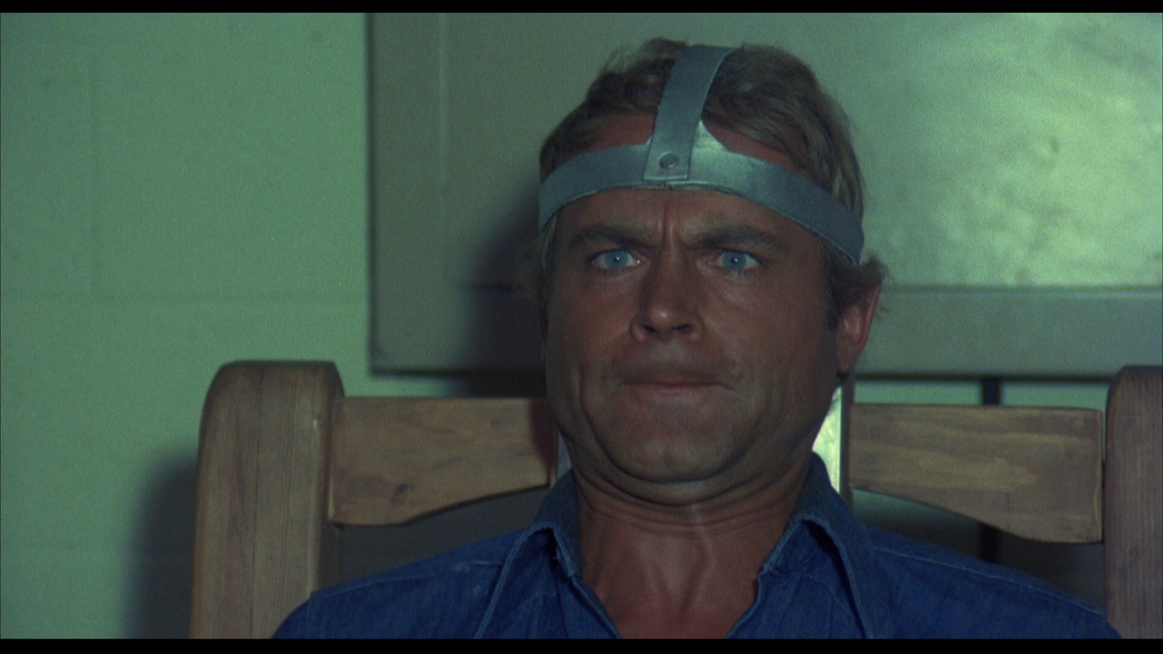 vlcsnap-2024-02-21-19h14m27s994