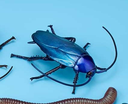 2021 Terrestrial Invertebrate of the Year, the Kaiyodo Revogeo Giant ...