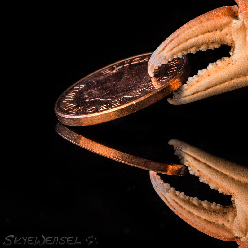 C8-F9024-F-C5-D2-479-B-8-FEB-4829425-BA0-B3.jpg