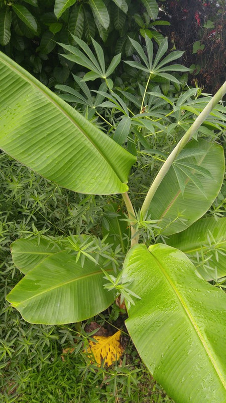 20170513_073440 (Copier)