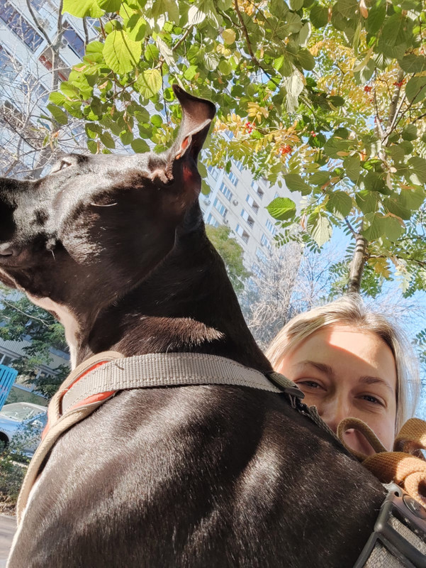 675DAAC4-FD27-4B98-9497-A2B56A3D23AC