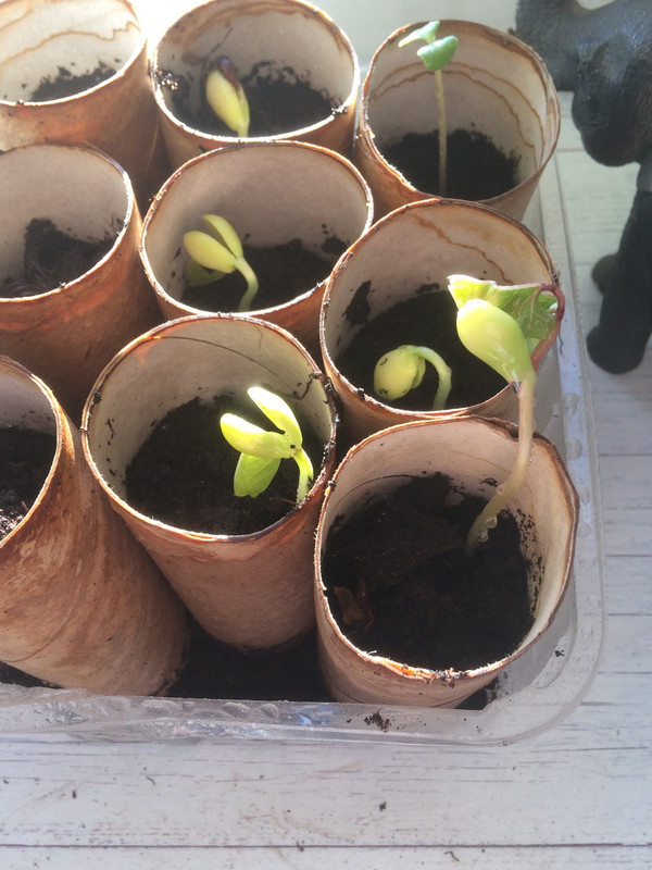 DCB54E6A-02F5-447F-986E-C1B1AE4A7A1F