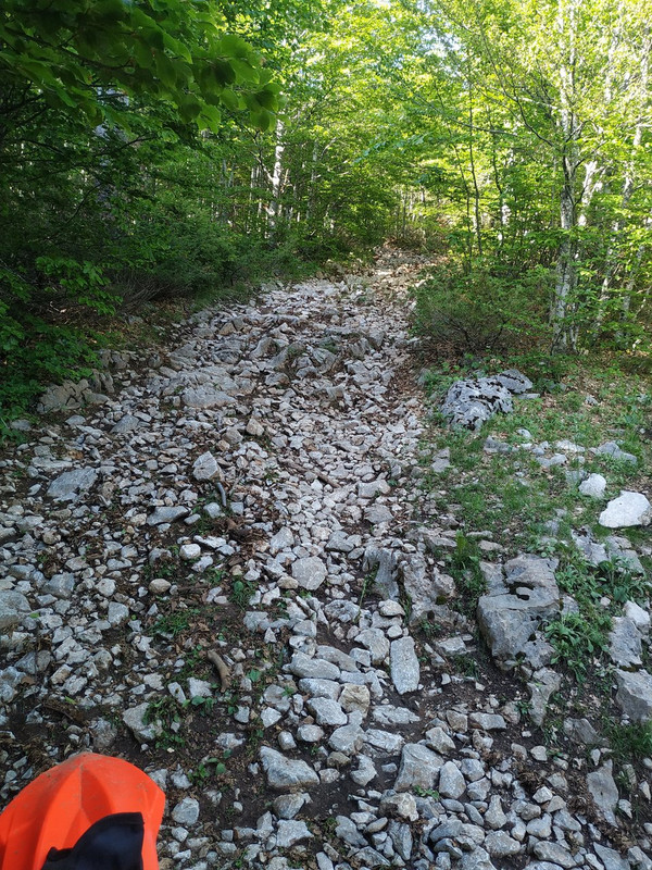 IMG-20220530-165707.jpg