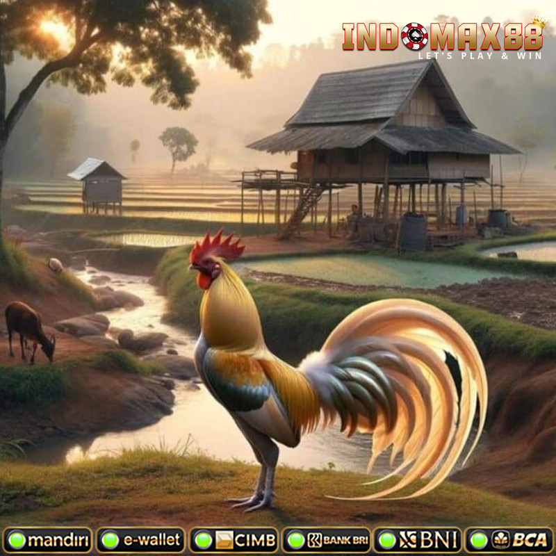 sabung ayam online Login 