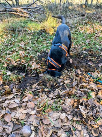 bdfc2bbb 9b21 49ba b48d fd0cacf20b34 1