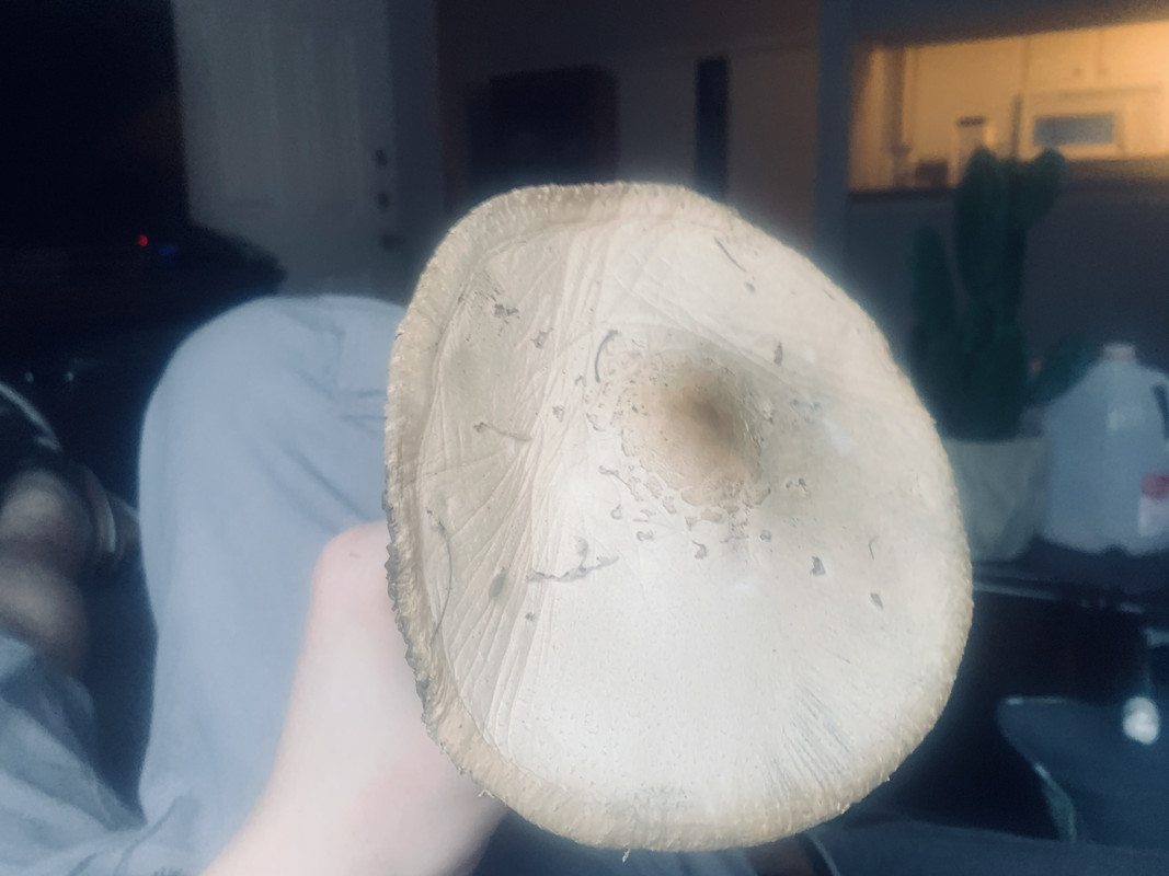 5DAAFC93-139D-42D9-860D-89684F799A21