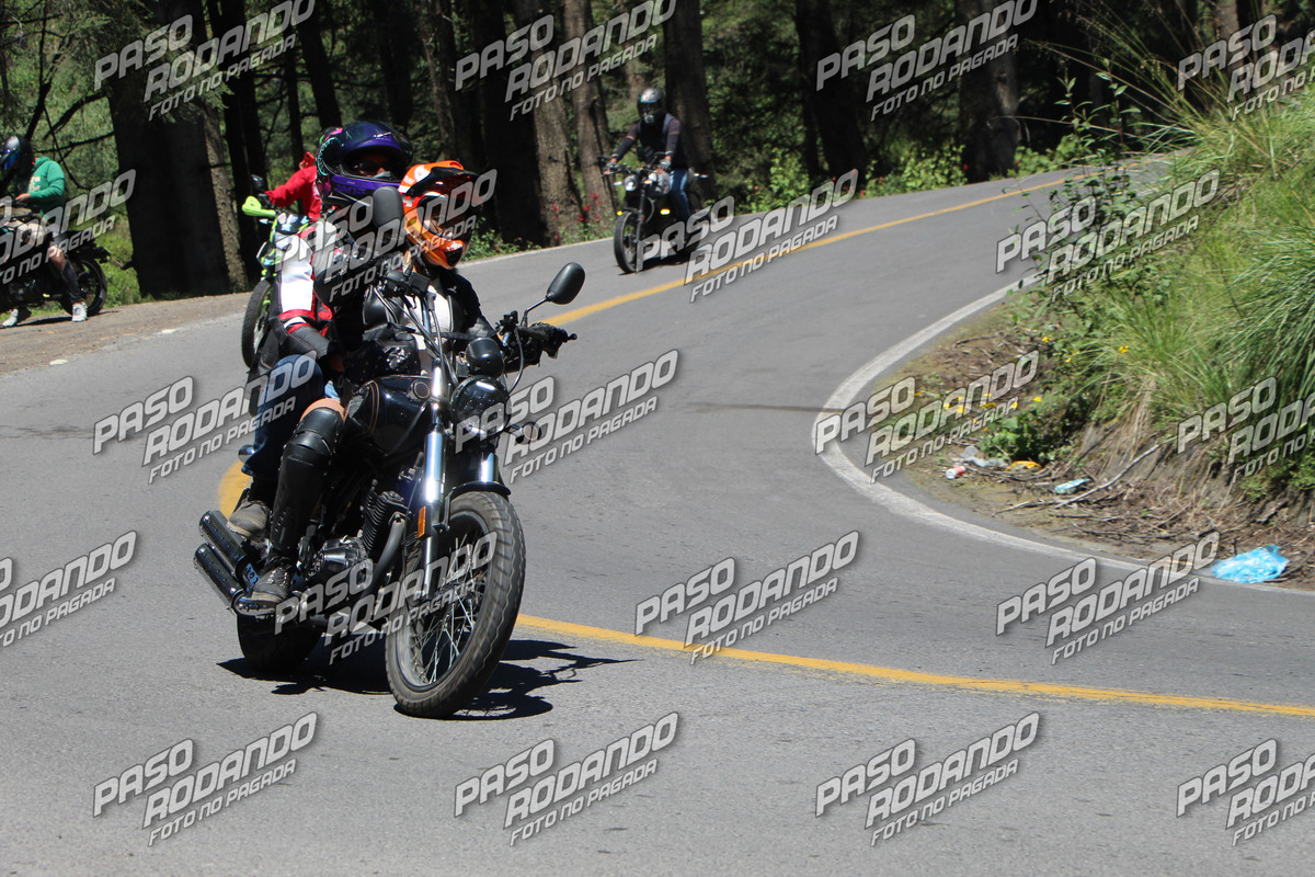 IMG 8722 wm 33248 watermarked — Postimages