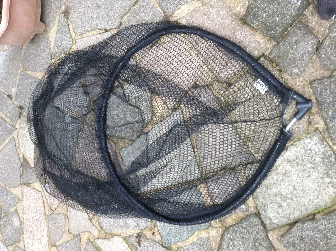 D693E31E-1EAB-4F3B-9F76-FF02CCDFB9C4