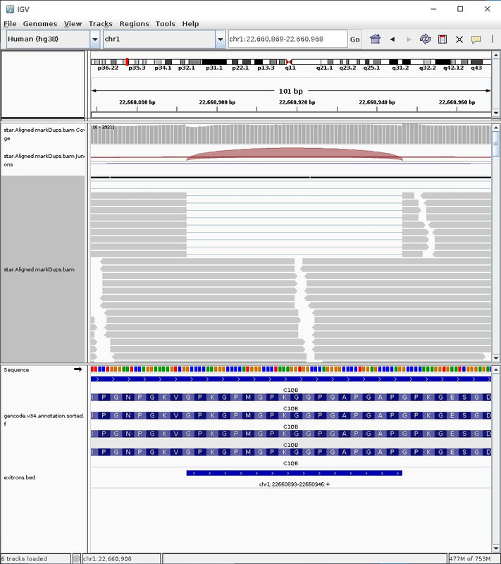 chr1:22660893-22660946 - Left v right mean overhang: 43.93 v 4.07