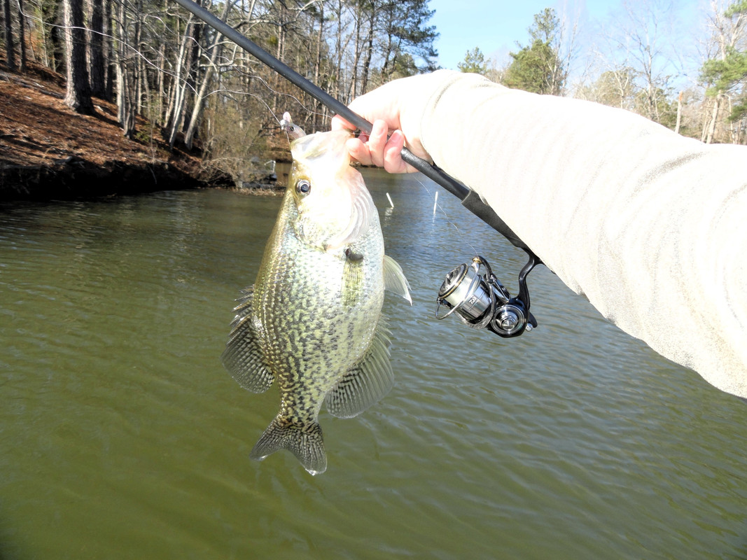 2-11-pb-crappie.jpg