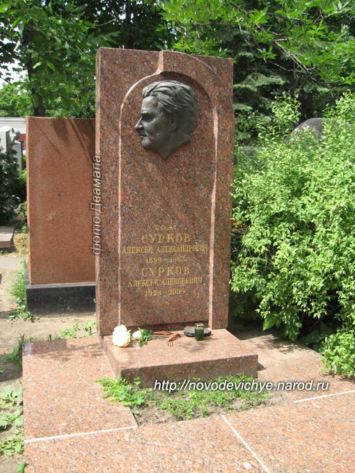 surkov-aa1