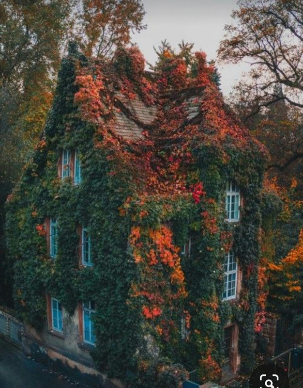 Screenshot_20231128_002636_Pinterest